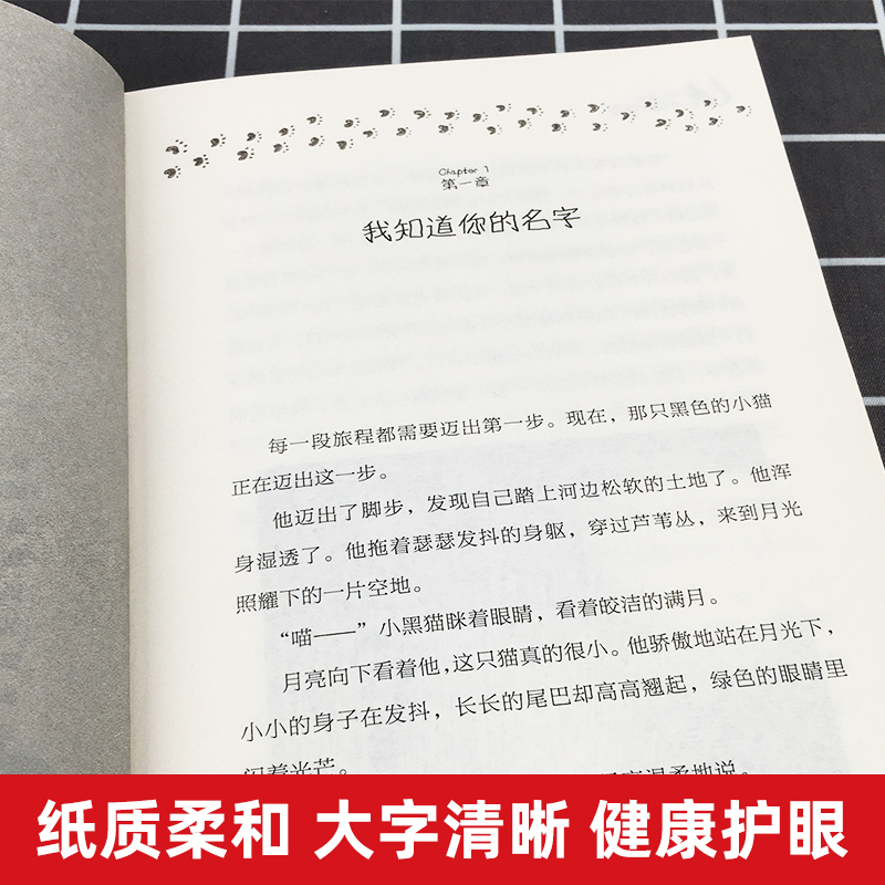 一只猫的使命 长青藤国际大奖小说 7-9-10-12-14岁 外国儿童文学动物小说故事书成长教育读物 三四五六年级小学生课外阅读书籍