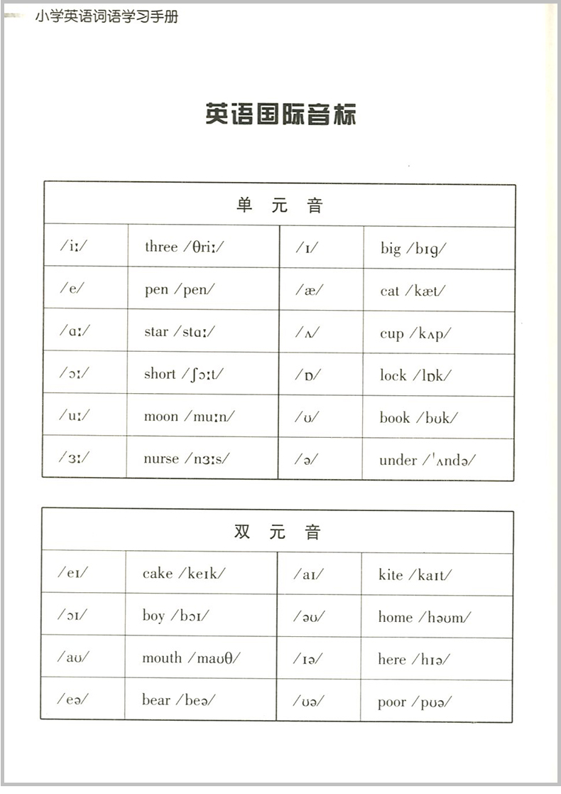 小学英语词语学习手册新教材升级版三四五六年级英语知识通用工具书英语知识语法单词汇大全汉英词典学习工具书小学生课外教辅阅读 - 图2