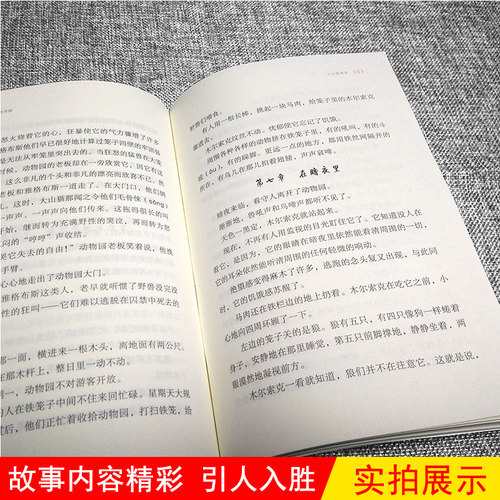 雪地寻踪 四年级下册 书正版 亲近母语经典童书阅读指导版非注音版 6-12岁儿童读物小学生语文课外阅读书籍梅子涵名著童书 - 图2
