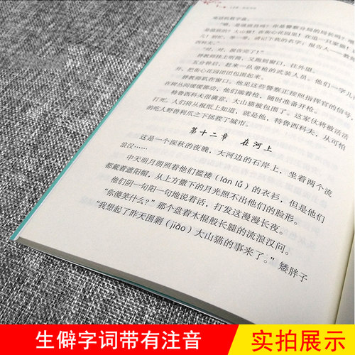 雪地寻踪 四年级下册 书正版 亲近母语经典童书阅读指导版非注音版 6-12岁儿童读物小学生语文课外阅读书籍梅子涵名著童书 - 图1