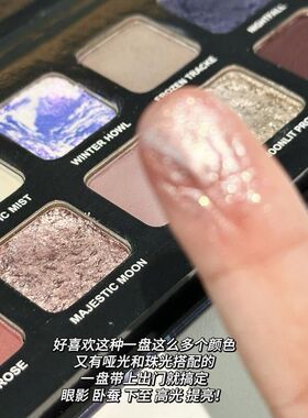 HERORANGE十二色狼月色系眼影 高光提亮珠光爆闪哑光卧蚕修容粉盘