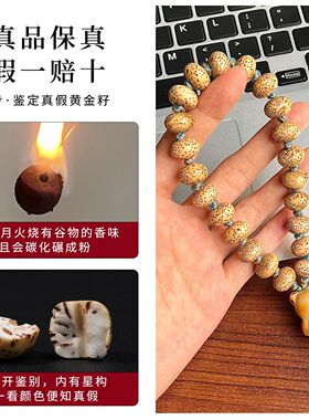 海南黄金籽星月菩提手持男女款高密老陈籽算盘珠盘玩文玩佛珠手串