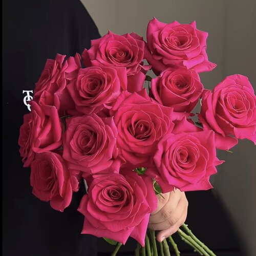 单头玫瑰「弗洛伊德」10支（2单包邮） - 图0