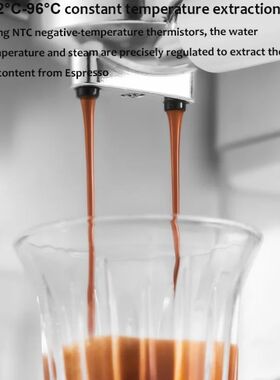 220V Italian Pump Espresso Coffee Machine Home Use Automatic