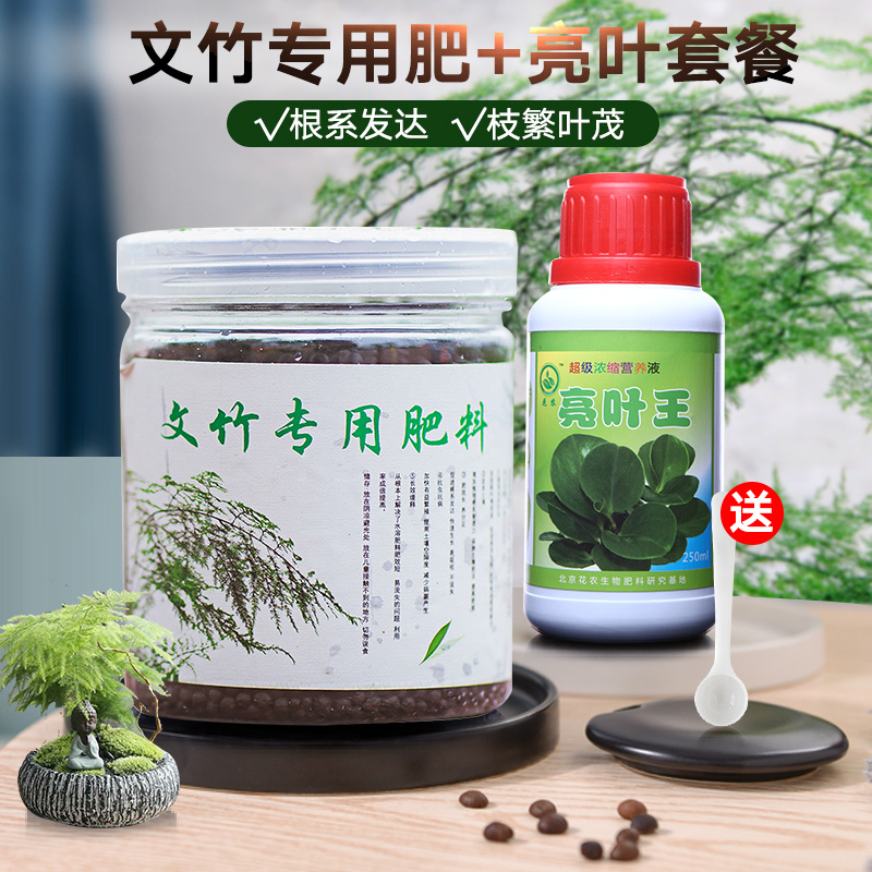 文竹专用肥料凤尾竹肥竹类竹子肥料营养土盆栽治疗黄叶有机肥包邮 小编推荐 Wepost 全民代运 马来西亚中国淘宝代运与集运专家