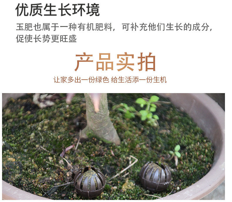 日本进口玉肥有机肥颗粒缓释肥料盆栽盆景多肉花卉植物通用肥包邮 晨香春暖花开园艺 淘优券