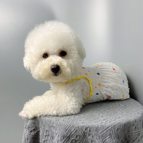 狗狗南瓜裤纸样泰迪比熊博美大小型犬裤子图纸宠物连体裤模版教程 - 图0