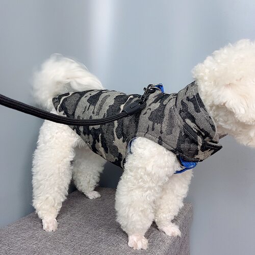 狗狗雨衣纸样宠物防水衣边牧猎犬户外服图纸大中小型犬外套模版 - 图2