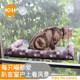 All-season window swing cat hammock for sunbathing