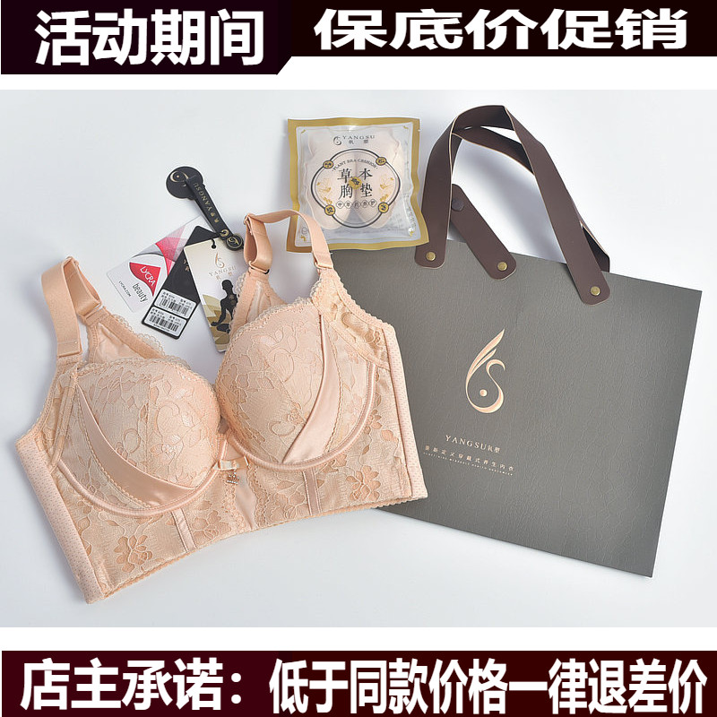 六月玫瑰文胸正品四代氧塑丰姿五排扣BC中厚杯调整内衣女聚拢胸罩 - 图0