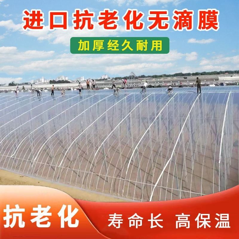 厂家直销大棚膜塑料膜无滴膜透明膜消雾PO膜加厚高透光蔬菜大棚膜