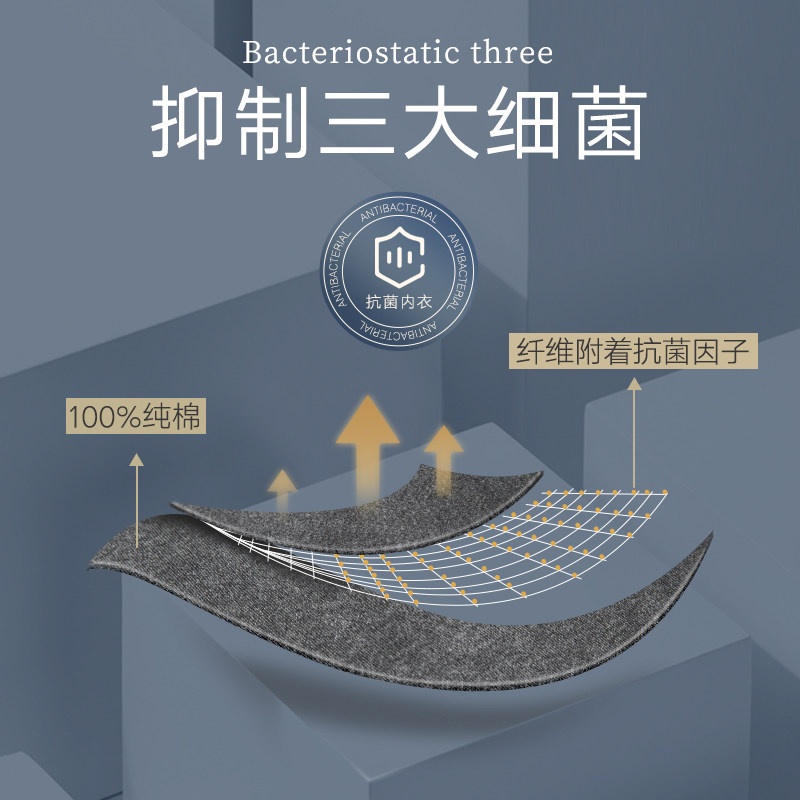 南极人保暖男士纯棉全棉毛衫内衣 南极人裤袜保暖套装