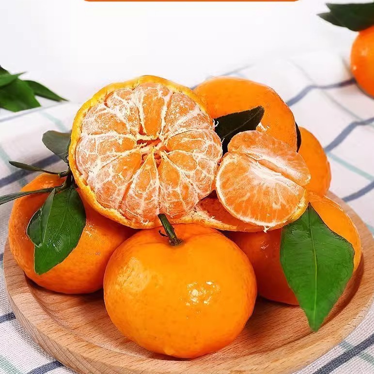 广西武鸣沃柑5斤10斤新鲜水果整箱皇帝沙糖蜜橘砂糖柑橘桔子橘子-图3