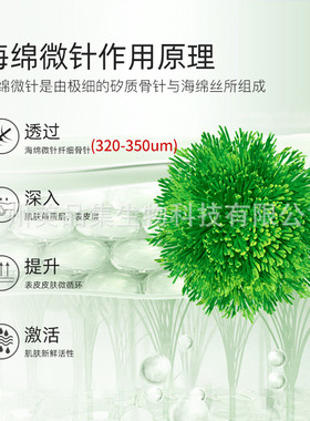 美容院级家用小绿膜海绵微针版