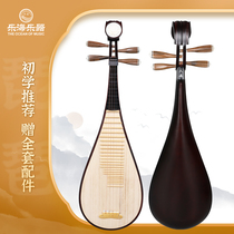 Lehai Pipa Musical Instruments Beginners Introductory Exercises Color Wood Material Flowers Open Rich And Expensive headwear