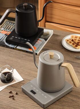 烧水壶家用 泡茶专用功夫茶细长嘴 控温保温一体恒温电热水壶套装