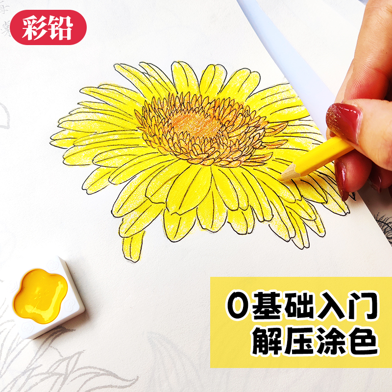 百花绘白描描摹练习本 描线控笔涂色大开本 中国画白描入门 工笔花卉线稿底稿 勾线笔临摹图谱 勾线涂色彩铅水彩 学画画临摹画册 - 图2