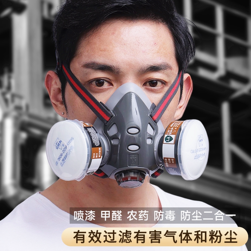 防毒面具全面罩防尘面具防工业粉尘全脸喷漆专用防护防烟氧气甲醛 - 图0
