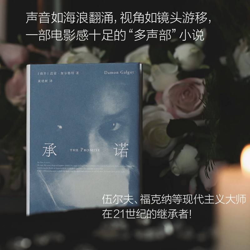 承诺 [南非] 达蒙·加尔格特 著,黄建树 译 广西师范大学出版社 新华书店正版图书 - 图0