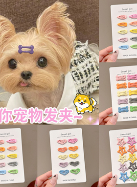 狗狗发夹头饰迷你小号发卡子