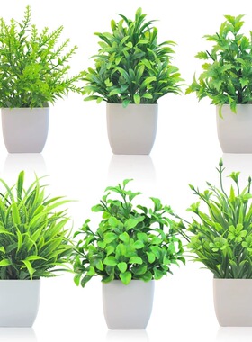 仿真绿植物盆栽客厅餐桌面小摆件