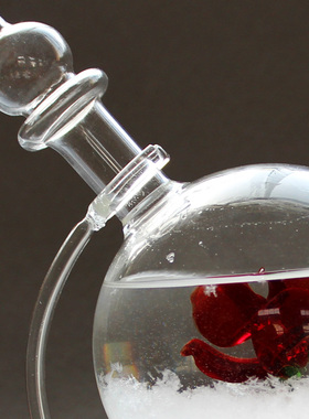 情人节玫瑰天气预报瓶客厅兰亭阁