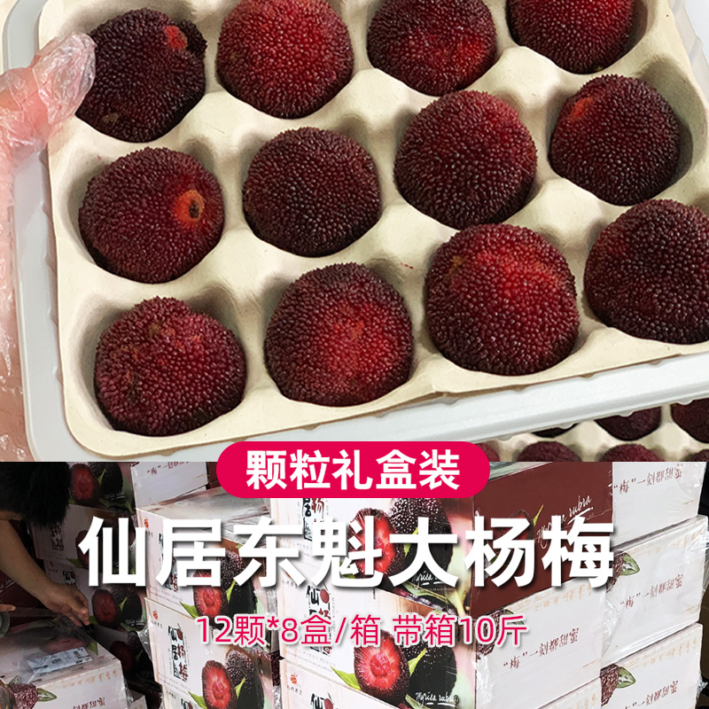 仙庆旗舰店7A大果仙居杨梅新鲜东魁鲜杨梅大颗粒装8盒整箱当季水果批发现摘2
