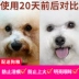 20 ngày xé rách, Bao Li, Shi Shikang, nước mắt, thú cưng, thú cưng, Xiong Taidi, Bomei, chó, mèo, vết rách - Cat / Dog Beauty & Cleaning Supplies