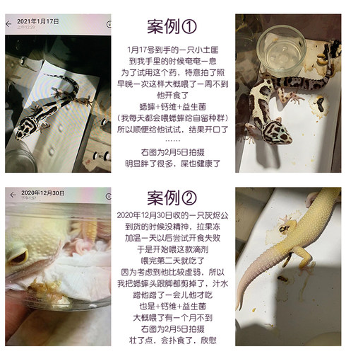 爬虫bac益生菌调理肠胃Repraze爬宠陆半水黄缘巴西龟蜥蜴守宫 - 图0