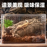 Восхождение по лазании по лазании по питанию для домашних животных Cushing Cashi Curter Curter Curbine Turtle Mornea Lizarus Увлажение