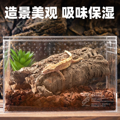 Восхождение по лазании по лазании по питанию для домашних животных Cushing Cashi Curter Curter Curbine Turtle Mornea Lizarus Увлажение