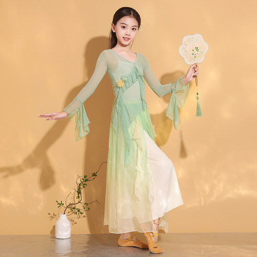 美女童古典舞蹈服中国舞身韵练功服纱衣儿童民族舞扇子舞演出服 - 图1