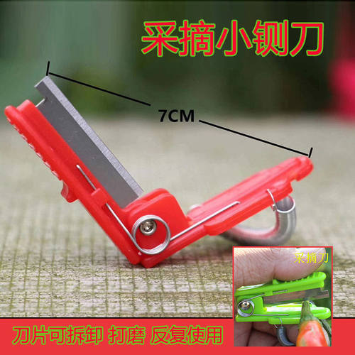 手指采摘农用小剪刀黄瓜掐尖拇指刀摘菜神器园艺果园小铡刀戒指刀 - 图1