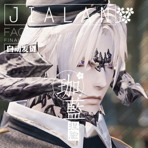 【珈蓝】最终幻想14 ff14捏脸数据脸型 敖龙族龙男 暮晖酷帅 蓝冰 - 图2