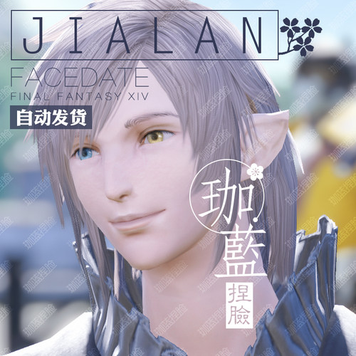 【珈蓝】最终幻想14 ff14捏脸数据脸型 精灵族男精 黑影异瞳 南莫 - 图3