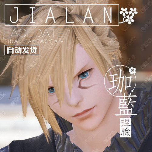 【珈蓝】最终幻想14 ff14捏脸数据脸型 猫魅族猫男 月猫 萨克 - 图0