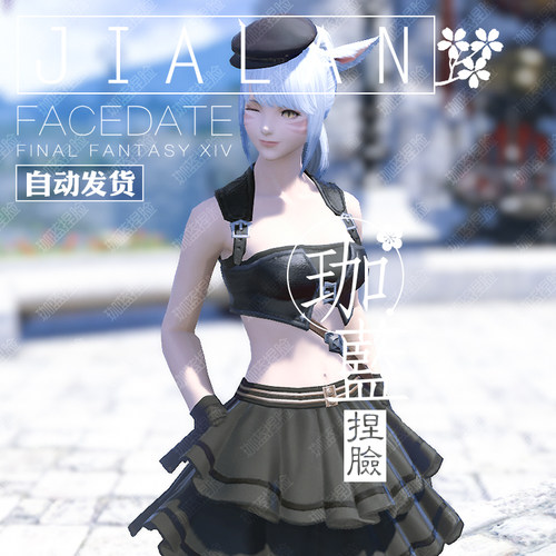 【珈蓝】最终幻想14 ff14捏脸数据脸型 猫魅族猫女猫娘 异瞳 天空 - 图3