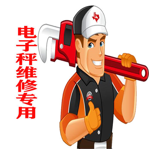 本店内电子秤维修连接 仅维修店内产品  客服发链接拍下才有用 - 图0