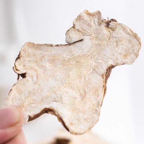 白术中药材正品浙白术片茯苓枳实白术茶非特级野生生白术粉泡水 - 图1