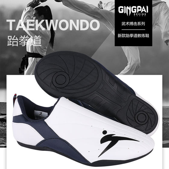 Coach Shoes Taekwondo Shoes Coach Shoes Adult Professional