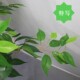 High-end simulated banyan leaves come in many shapes and styles.
