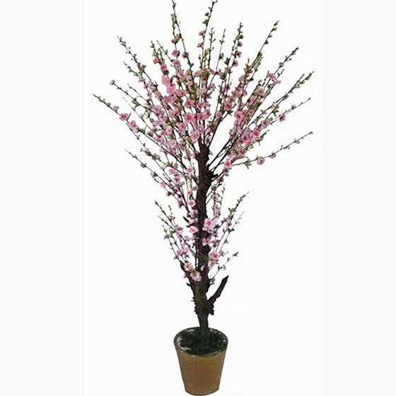 Plum blossom and peach blossom tree with high simulation colors and many floor-to-ceiling green plants