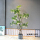 Simulated water stone banyan floor-standing floral decorative plant artificial tree