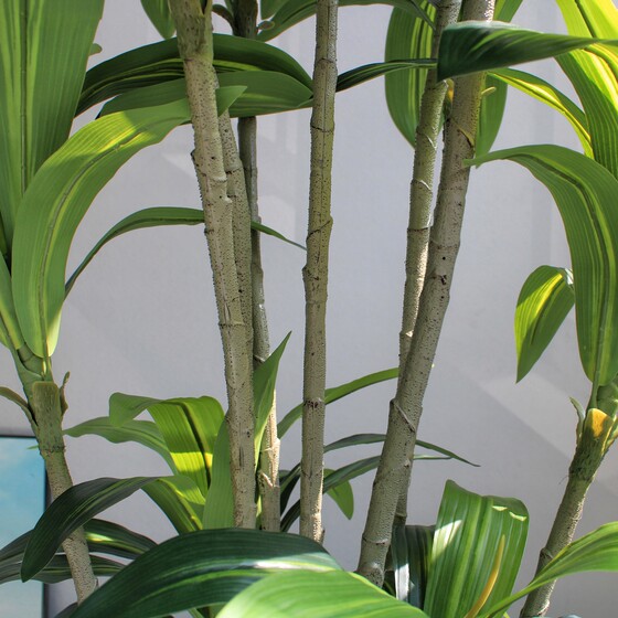 High-end large simulated green fake plant bonsai Brazilian wood