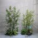 High-end simulated green plant landscaping with Zen-like golden thread and purple bamboo