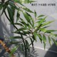 Top Ten Contributions to High-end Simulation Trees Ye Xiazhu