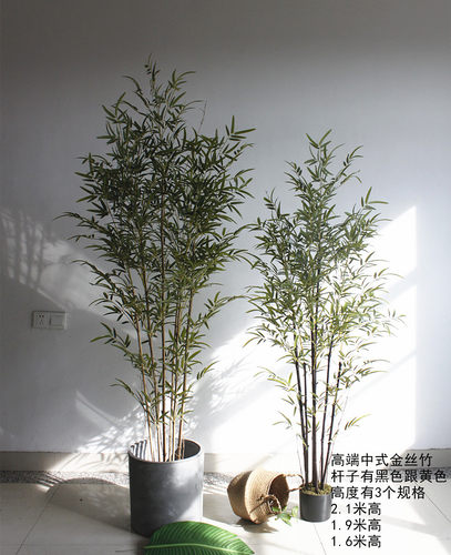 仿真竹子植物假金丝四季紫竹树装饰加密造景绿植客厅橱窗屏风装饰 - 图0