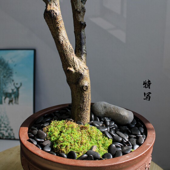 High-end simulated green plant teahouse Zen Chinese style ornaments