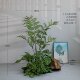High-end simulated green plant indoor fern tree landscaping combination