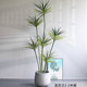 Bimei Crafts Simulation Plant Nordic Style Agave